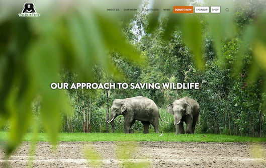 Placeholder image for third case study